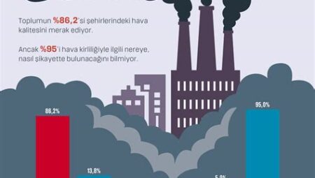 Hava Kirliliği ve Sağlık: Şehirlerdeki Hava Kalitesinin İnsan Sağlığına Etkileri